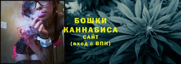 индика Осташков