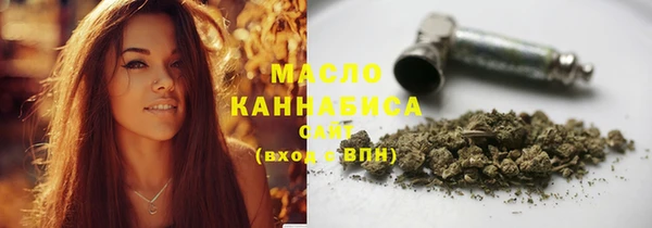 индика Осташков