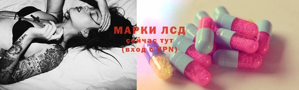 индика Осташков