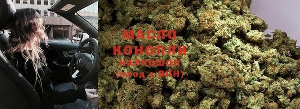 индика Осташков