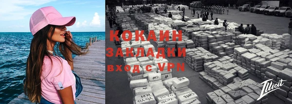 индика Осташков