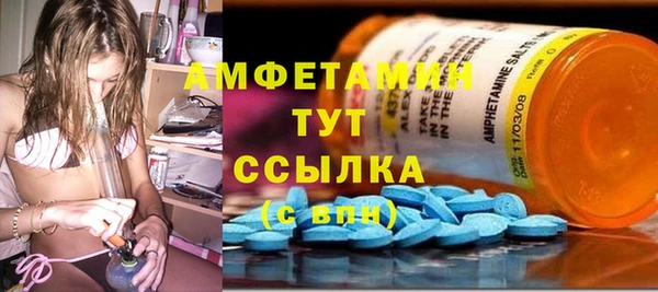 индика Осташков
