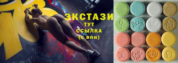индика Осташков