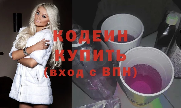 индика Осташков