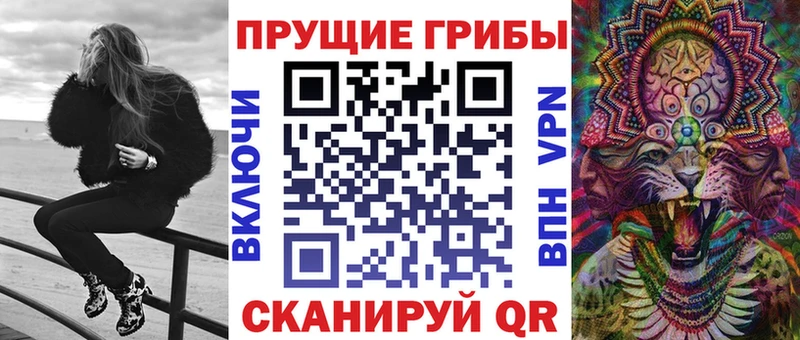где купить наркотик  Суздаль  Галлюциногенные грибы GOLDEN TEACHER 